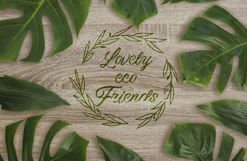 Lovely Eco Friends